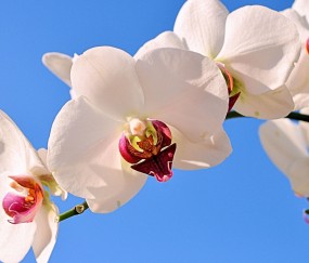 头屯河正规助孕捐卵机构，附正规捐卵机构报名表！